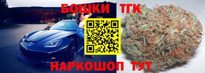 гидра Камышлов