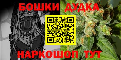 гидра Камышлов