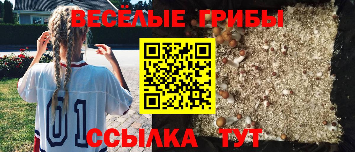 Галлюциногенные грибы мухоморы Мурманск
