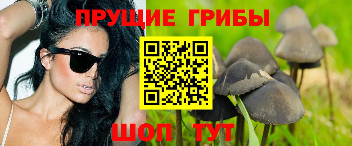 Мурманск  Псилоцибиновые грибы ЛСД  дарнет шоп  Вход с VPN 